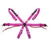 DriftShop 6-Point Harness - Pink - FIA 2023 -The Country Road Shop large 51509472e886a7366df23155f5de1178
